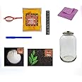 TEMPEHSTATION Kombucha Starter Kit for beginners (Grand kit) - Raw,Unpasteurized, Scoby, Gut-Healthy,Home Brewing Kit. Say Goodbye to Vinegar, No Eels