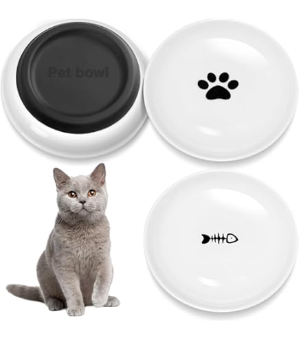 Ciotole Per Gatti In Ceramica Antiscivolo - Set 2 Pezzi Con Tappetino - Foto 10