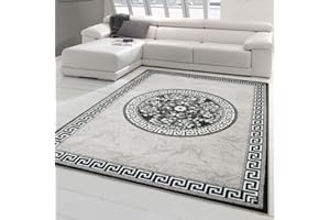 TEPPICH-TRAUM Traum Nowoczesny dywan, designerski, orientalny z błyszczącą przędzą, do salonu, z bordiurą i wzorem w koła, w kolorze szarym, antracytowym, kremowym, wymiary 160 x 220 cm