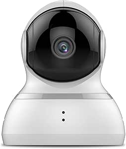 YI Dome Camera