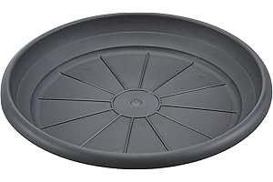 B2C Round Plastic Plant Pot Saucers/Water Trays Heavy Duty Sturdy Durable Various sizes and colours (26cm, Anthracite)