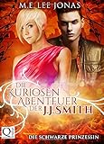 Cover zum Buch Die kuriosen Abenteuer der J:J: Smith...