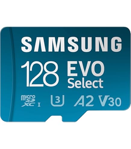 Kingston SDC10G2/8GB Scheda MicroSD da 8 GB, Classe 10, UHS-I, 45 MB/s, con Adattatore SD, Nero
