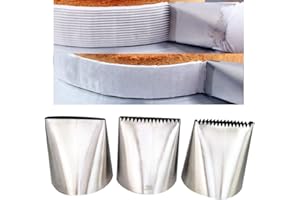 SYMPHONYW Consejos de decoración de pasteles, boquillas de acero inoxidable para decoración de pasteles, herramientas de fondant de repostería (grande)