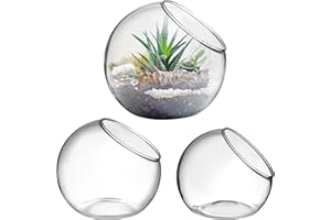 Toddmomy 3 Pcs Verre Clair Air Plante Terrarium Succulent Cactus Plante Vases Terrarium Pot Pot De Bonbons Récipient Floral Bol Incliné pour Fête De Mariage Événement Décor De Bureau À