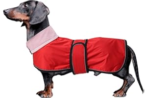 MOREZI Dachshund raincoat with reflective trim, rain/water resistant, adjustable bands - Stylish premium raincoat for dogs - Red - Small