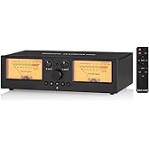 DoukAudio VU3PRO Dual Analog VU Meter, 2-Way Amplifier Switch, Speaker Selection, Audio Amplifier, 2 in 2 Outputs with MIC Pi