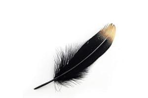 Sowder, Piume D'Oca Naturali, Accessori per Abbigliamento, Confezione da 50 Gold Dipped Black