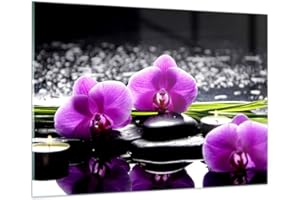 ARTTOR Vidrios decorativos 100x70cm Cuadro Sobre Vidrio Moderno Orquídea naturaleza Agua flor Grande Cocina Cuadros Pared Impresiones Decoracion Salon Impresión en Cristal Wall Art Prints GAA100x70-2658