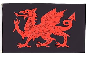AZ FLAG - Bandera Gales Dragon Negro - 90x60 cm - Bandera Galesa 100% Poliéster Con Ojales de Metal integrados - 50g - Colores Vivos Y Resistente A La Decoloración