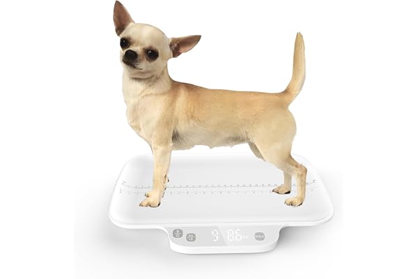 Balance pour chiots et petits animaux, avec fonction de maintien, pour chatons, précision 1 g/0,035 oz, poids max. 15 kg/33 lb, convient aux nouveau-nés, chatons, chihuahuas et chats.