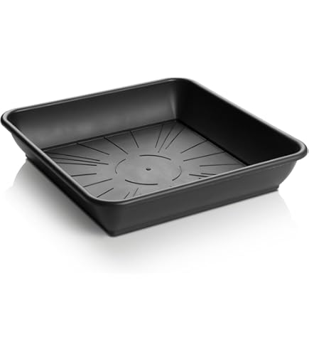 Soucoupe Rainbow Rose En Terre Cuite Emaillée 24-DECOLINES