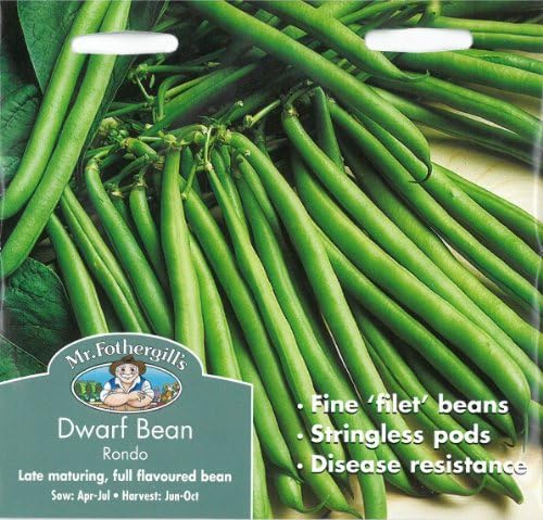 Mr Fothergill's 19201 100 count Dwarf Bean Rondo Seed