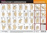 Image de Fingeralphabet und Gebärdensprache: Grundlagen der Deutschen Gebärdensprache und das Deutsche Fing