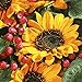 Produktbild Servietten (2er Set / 40Stück) 3-lagig 33x33cm Herbst Sonnenblume Autumn greetings