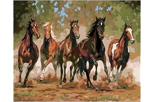 Meecaa Paint by Numbers Running Horse Animal Splash Kit for Adults Beginner DIY Oil Painting 16x20 inch (Horse, No Frame)
