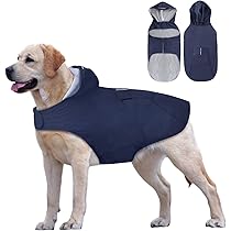 Impermeabile Per Cani Idepet - Impermeabile E Riflettente - Con Cappuccio E Foro Per Guinzaglio - Foto 3