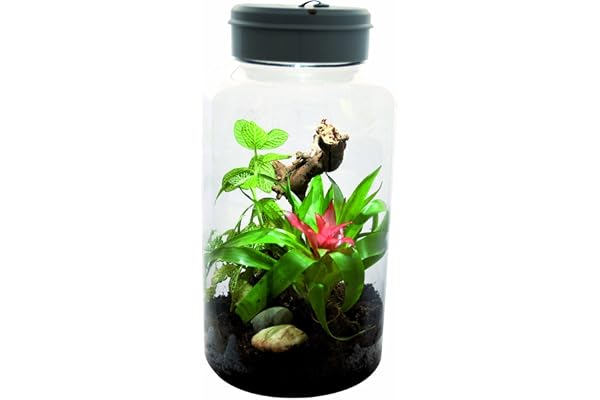 Lucky Reptiles - Insect Tarrium 5L " Classique" Lucky Reptile