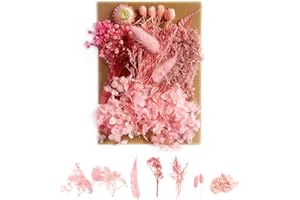 HIOQFR Manualidades Flores Secas Naturales Pequeñas Flores Secas Decoracion Flores Preservadas Mezcladas Flores Secas Decorativas Dried Flowers Bricolaje Flores Secas para Resina para Artesanía-Rosa