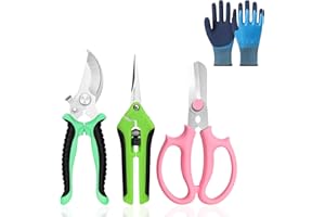 Beautyshow Nożyce ogrodowe, ostre nożyce do drzew ze stali nierdzewnej, nożyce do róż, z rękawiczkami, sekator do świeżych gałęzi/drzew owocowych