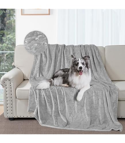 Coperta Gatto Nero 3D Per Divano - Sherpa Morbida Con Stampa Animale - 150x200 Cm - Foto 9