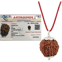 Mithila Handicrafts Six Face (Chhah-Mukhi) Rudraksha Bead - Natural, Lab Certified, With Panch Dhatu Pendant - View #5