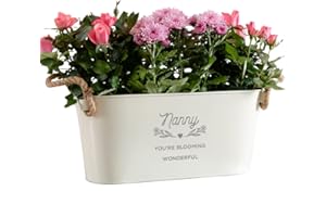 DUST AND THINGS Engraved Flower Planter 'Nanny You're Blooming Wonderful' - Unique Indoor Outdoor Herb Plant Pots - Birthday or Mothers Day Nan Gift - Nanny Plant Pot