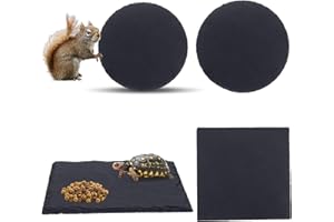 BEAUTYWEN 4 Pcs Reptile Basking Platform Tortoise Rock Plate Slate Reptile Basking Platform Feeding Dish Natural Rock Bathing Resting Platform for Turtle Lizard Bearded Dragon Gecko Snake Habitat Decor