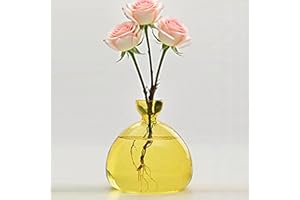 QSLKI Jarrón De Semillas De Aguacate, Cultiva Una Planta De Aguacate, Jarrón De Cristal para Árbol De Aguacate, Jarrón De Iniciación De Propagación De Plantas, Terrario, Jarrón Hidropónico (Amarillo)