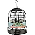 Supa Premium Wild Bird Cage Fat Ball Feeder, Deters Squirrels and Larger Birds Such As Doves & Pigeons