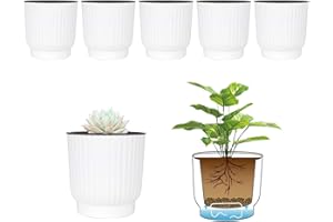 T4u Auto Riego Plantador Blanco Ronda Paquete de 6, Maceta para Interiores al Aire Libre Jardines de Windowsill Planta Decorativa para Flores Hierbas