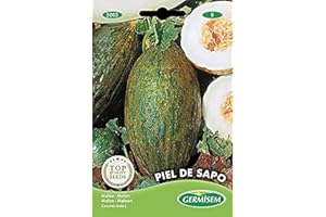 Germisem graines Melon PIEL DE SAPO