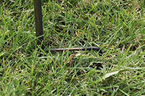 CLP Pflanzen-Rankstab AROSA aus Eisen, Höhe 125 cm, Rankhilfe für Kletterpflanzen bronze - 8