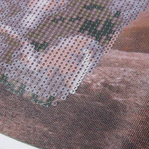 Demiawaking 5D Diamond DIY Süße Löwe Stickerei Malerei Kreuzstich für Wohnzimmer, Schlafzimmer, Arbeitszimmer usw. Haus Dekor - 5