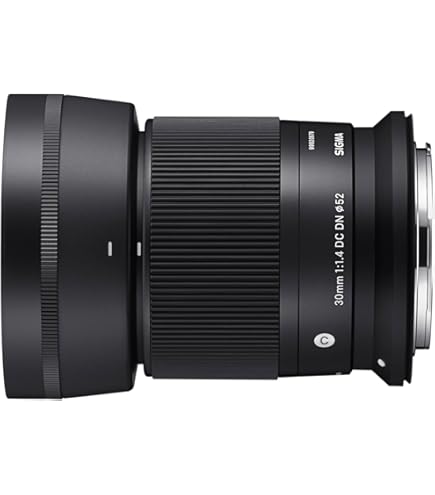 Sigma 30Mm F/1.4 Ex Dc HSM Art Lens for Nikon,Black : Sigma