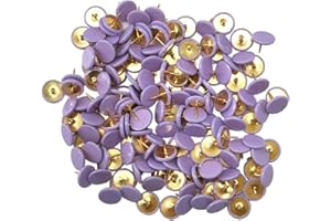 Ruidee 150 Stück Reißzwecken Metall Dekorative Reißzwecke Reißnagel rund mit Kunststoffköpfen und Stahlspitzen (Lila)