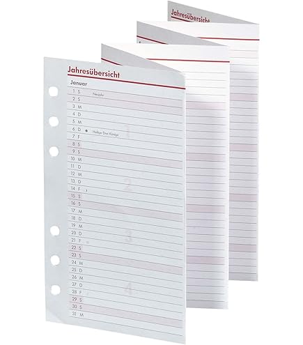 Zettler Kalenderersatzeinlage TP 1M/2S 2026 - Ersatzkalender Für Taschenplaner 520