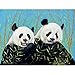 Produktbild Betsy Drake DM920 Pandas Fußmatte, 30" x50"
