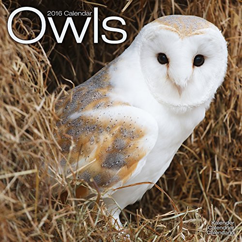 Download OWLS 2016 Wall Calendar