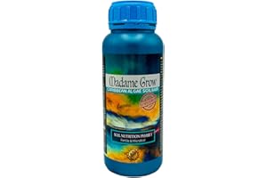 MADAME GROW Algendünger - Dünger - Pflanzennährstoffe 420 - Karibische Algen -platzen lassen - Cannabis - Dünger - Blüte - Cannabis - Blütenförderer - Flüssig - anreichern (CARIBBEAN ALGAE 500ml)