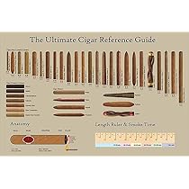 Cigar Anatomy Reference Guide Metal Tin Sign - 8x12 Inch Vintage Cigar Chart Wall Decor