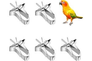 KAISOIL 5 PCS Pappagallo Alimentatore Di Frutta Pappagallo Verdura Clip Di Supporto In Acciaio Inox Pappagallo Alimentatore Uccello Foraggiamento Giocattolo Per Pappagallo Criceto Cockatiel Piccoli Animali