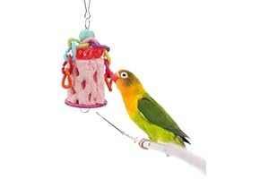 Hypeety Bird Chew Toy Calcium Teeth Grinding Chew Treats Toy for Hamster Bird Parrot African Grey Parakeets Cockatiels Conures Amazons Small Animal Cage Hanging Color Random