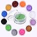 VALUE MAKERS 12 Color Nail and Eyeshadow Glitter Dust Powder Tip-Nail Art Decoration Set-Suitable for Nail,Face,Body,Eyeshadow Makeup