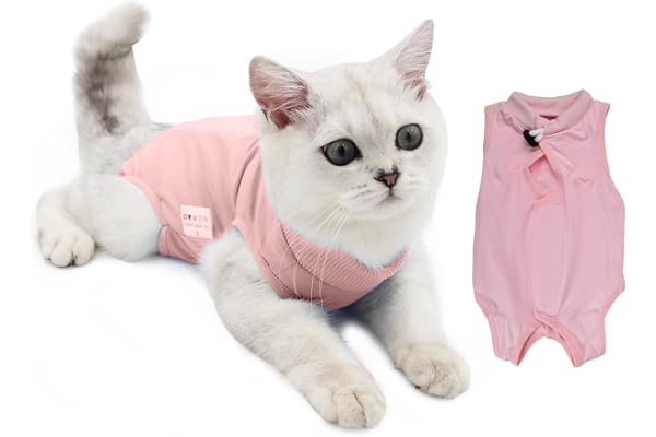 Combinaison de Récupération Chat, Gilet de Chirurgicale Vêtements de Animaux, Body Chat Post Operatoire, Alternative au Collier Cône E pour Plaies Abdominales ou Les Maladies de la Peau (Rose, M)