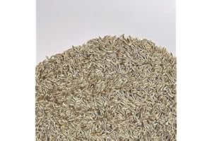 Il Contadino - Antiche Sementi | FESTUCA ARUNDINACEA | Tappeto denso e rigoglioso, Adatto a tutti i luoghi e tipi di terreno, Ottima resistenza alla siccità, al calpestio e all'ombreggiamento (5 Kg)