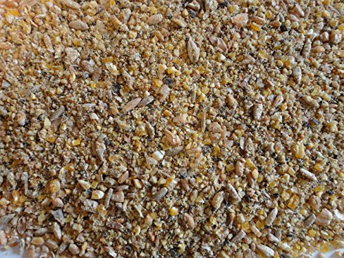 Bio Legehennenfutter gegen Milben mit MilbArom®ÖVO im 10 kg Sack - 2