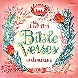 2019 the Illustrated Bible Verses Wall Calendar by 