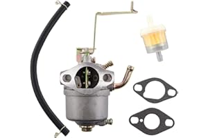 MCHNIC Carburateur avec joint de durite de filtre à essence pour groupes électrogènes Einhell STE 800, STE 8000/1, STE 800/1, BEX/1