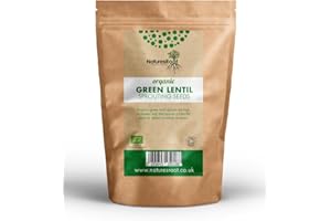 Natures Root Organic Lentil Sprouting Seeds (Green) 500g - Superfood | Non GMO | Microgreen Sprouts | Garden Planting | Vegetable Gardening